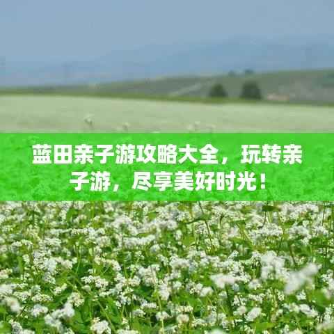 藍田親子游攻略大全，玩轉親子游，盡享美好時光！