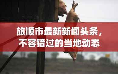 旅順市最新新聞頭條，不容錯過的當地動態