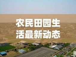 農(nóng)民田園生活最新動(dòng)態(tài)，新聞聯(lián)播深入報(bào)道