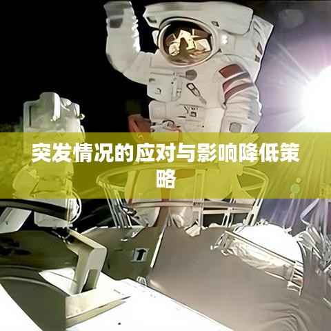 突發(fā)情況的應(yīng)對與影響降低策略