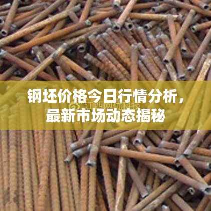 步履如飛 第3頁