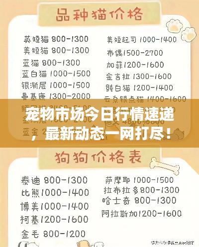 寵物市場今日行情速遞，最新動態一網打盡！