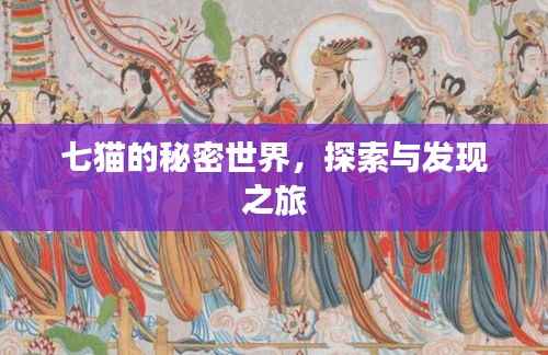 七貓的秘密世界，探索與發現之旅