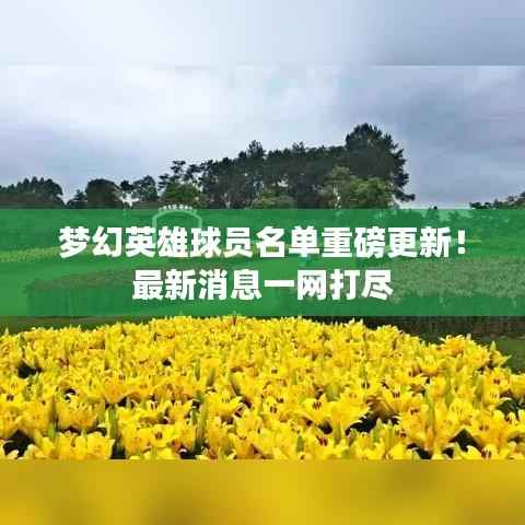 夢(mèng)幻英雄球員名單重磅更新！最新消息一網(wǎng)打盡