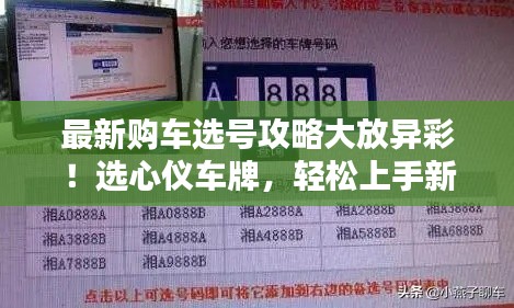最新購車選號攻略大放異彩！選心儀車牌，輕松上手新車！