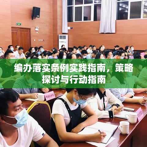 編辦落實條例實踐指南，策略探討與行動指南