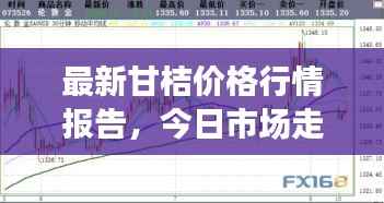 最新甘桔價格行情報告，今日市場走勢一網打盡！