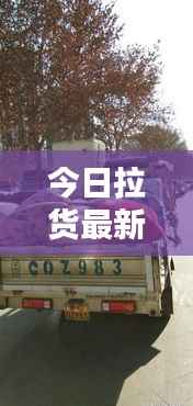 今日拉貨最新動態(tài)速遞