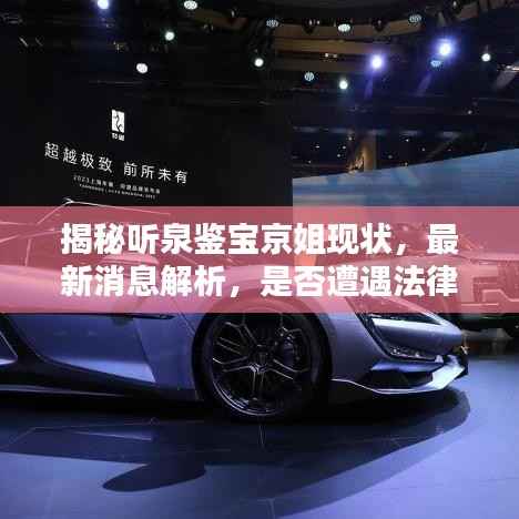 揭秘聽泉鑒寶京姐現狀，最新消息解析，是否遭遇法律制裁？