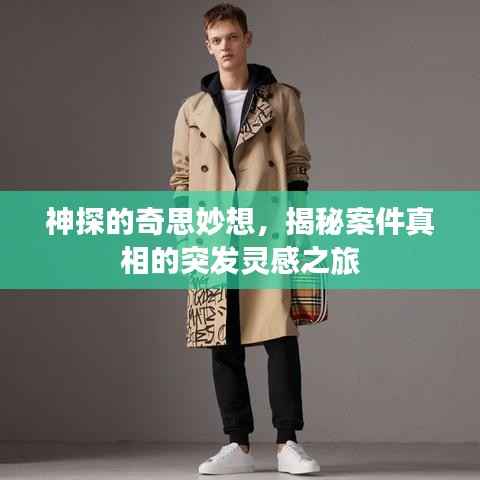 神探的奇思妙想，揭秘案件真相的突發靈感之旅