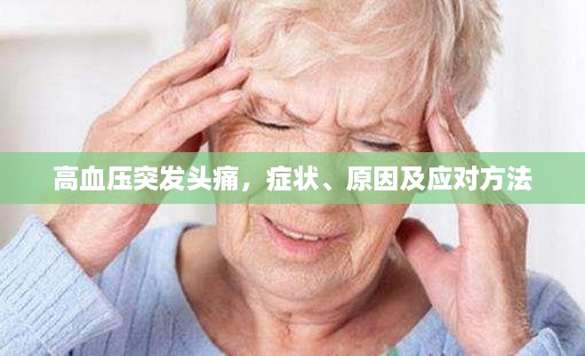 銷聲匿跡 第4頁(yè)