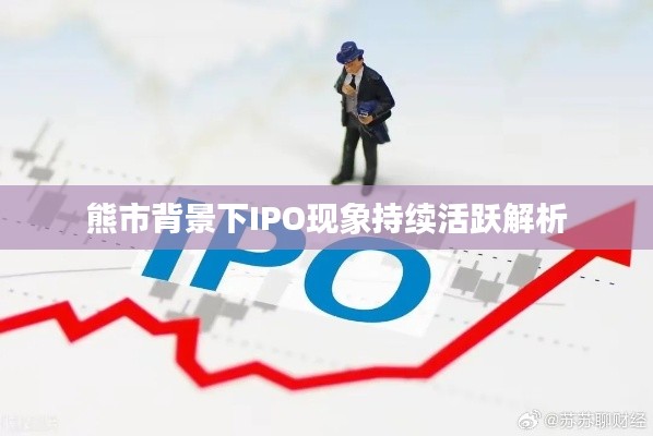 熊市背景下IPO現象持續活躍解析