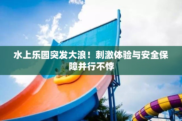 水上樂園突發大浪！刺激體驗與安全保障并行不悖