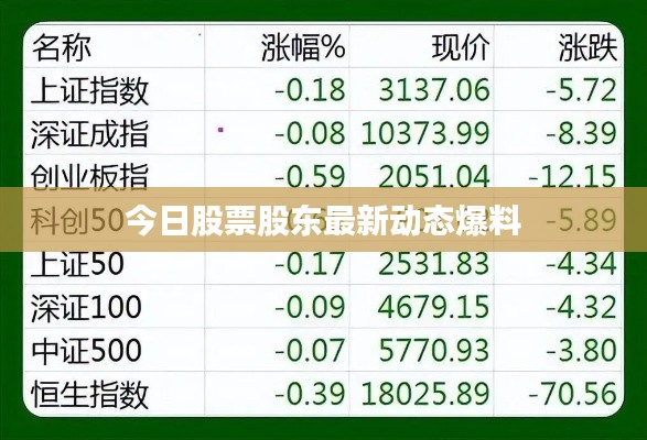 今日股票股東最新動態(tài)爆料