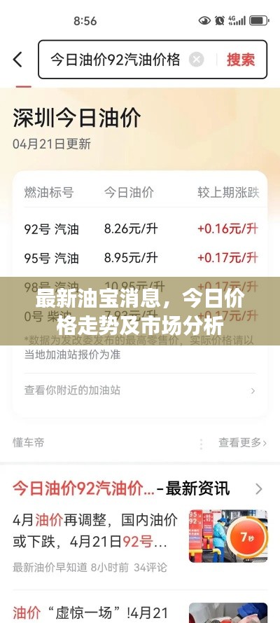 最新油寶消息，今日價(jià)格走勢(shì)及市場(chǎng)分析