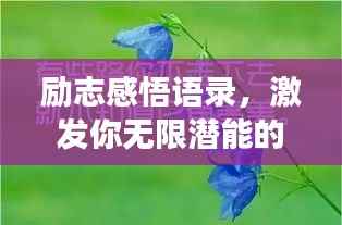 勵志感悟語錄，激發你無限潛能的深層啟示