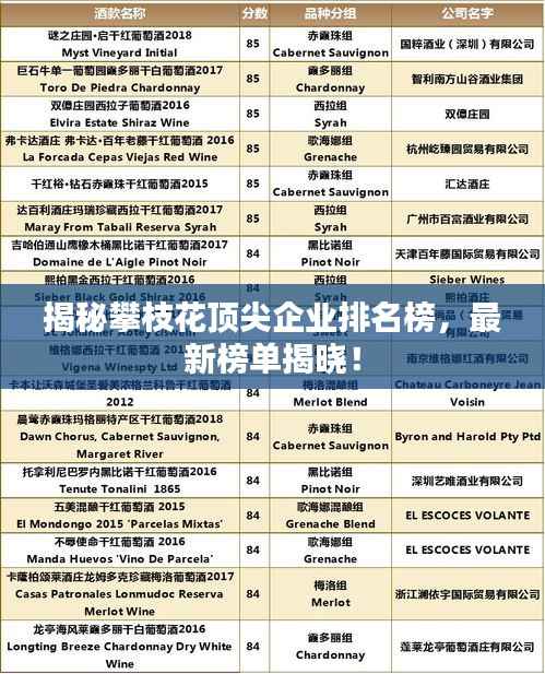 揭秘攀枝花頂尖企業排名榜，最新榜單揭曉！
