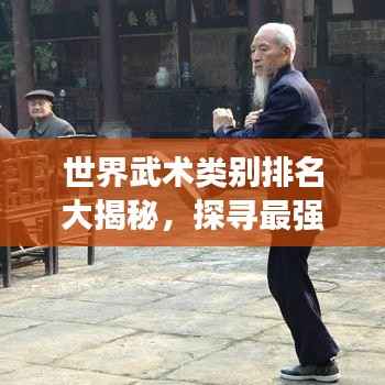 世界武術類別排名大揭秘，探尋最強武術流派！