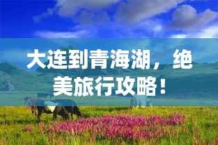 大連到青海湖，絕美旅行攻略！