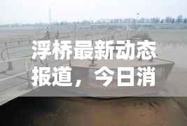 浮橋最新動態報道，今日消息更新速遞