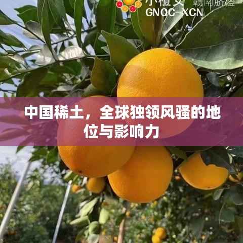 中國(guó)稀土，全球獨(dú)領(lǐng)風(fēng)騷的地位與影響力