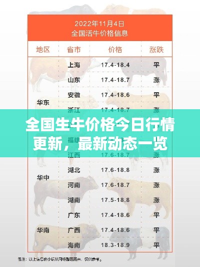 全國生牛價格今日行情更新，最新動態一覽