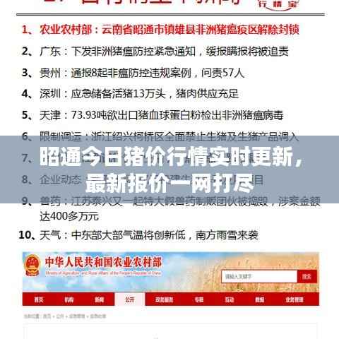 昭通今日豬價行情實時更新，最新報價一網打盡