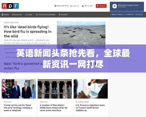 英語新聞頭條搶先看，全球最新資訊一網打盡