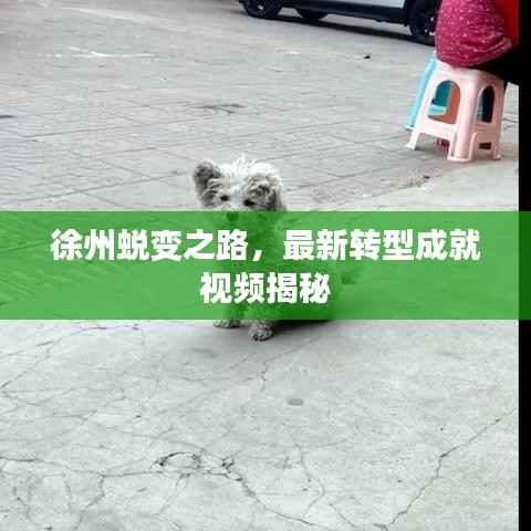 百年不遇 第4頁