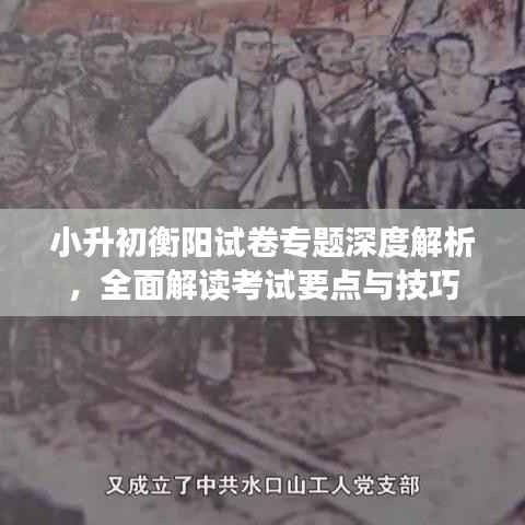 小升初衡陽試卷專題深度解析，全面解讀考試要點與技巧