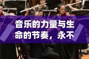 貴險賤璧 第4頁