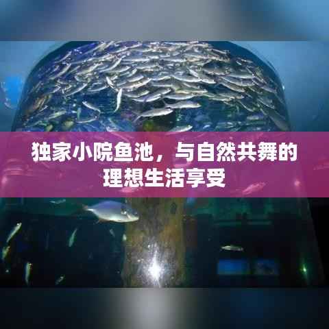 獨家小院魚池，與自然共舞的理想生活享受