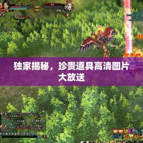 獨家揭秘，珍貴道具高清圖片大放送