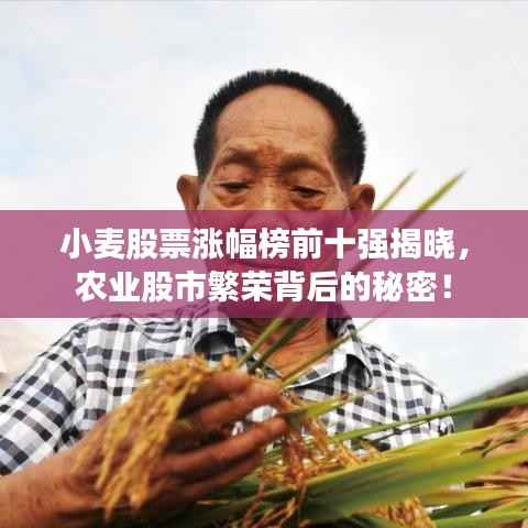 小麥股票漲幅榜前十強揭曉，農業股市繁榮背后的秘密！