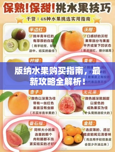 版納水果購買指南，最新攻略全解析！