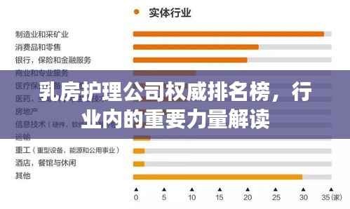 乳房護理公司權威排名榜，行業內的重要力量解讀