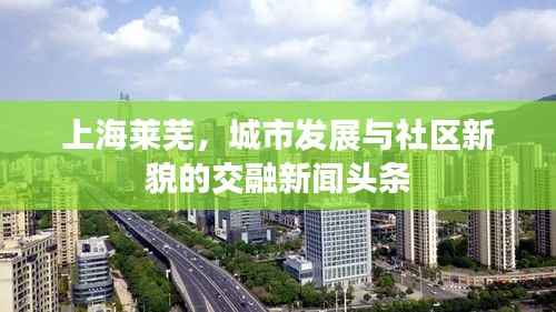 上海萊蕪，城市發(fā)展與社區(qū)新貌的交融新聞頭條
