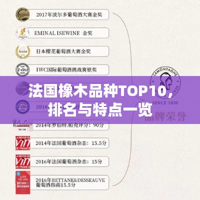 法國橡木品種TOP10，排名與特點(diǎn)一覽
