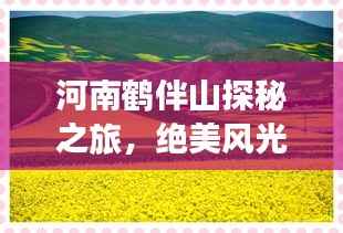 河南鶴伴山探秘之旅，絕美風(fēng)光與深度體驗(yàn)攻略