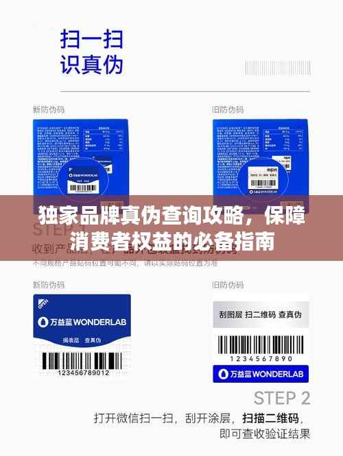 獨家品牌真偽查詢攻略，保障消費者權益的必備指南