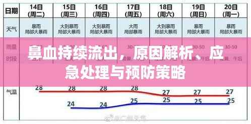 鼻血持續流出，原因解析、應急處理與預防策略