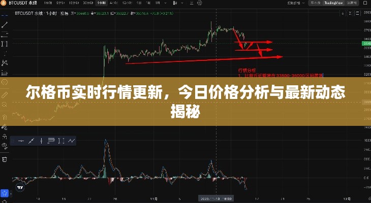 爾格幣實時行情更新，今日價格分析與最新動態揭秘