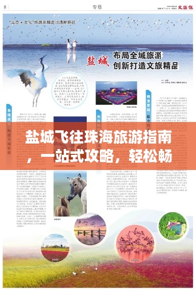 鹽城飛往珠海旅游指南，一站式攻略，輕松暢游兩地！