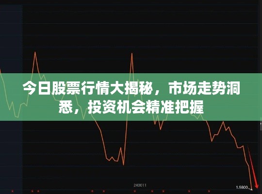 今日股票行情大揭秘，市場(chǎng)走勢(shì)洞悉，投資機(jī)會(huì)精準(zhǔn)把握