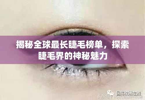 揭秘全球最長睫毛榜單，探索睫毛界的神秘魅力
