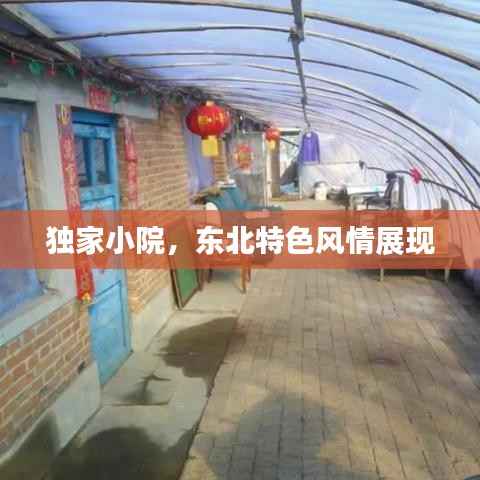 獨家小院，東北特色風情展現