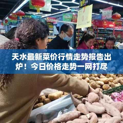 天水最新菜價行情走勢報告出爐！今日價格走勢一網(wǎng)打盡