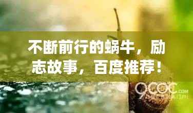 不斷前行的蝸牛，勵志故事，百度推薦！