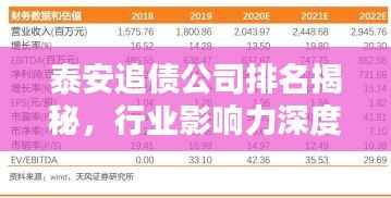 泰安追債公司排名揭秘，行業影響力深度解析