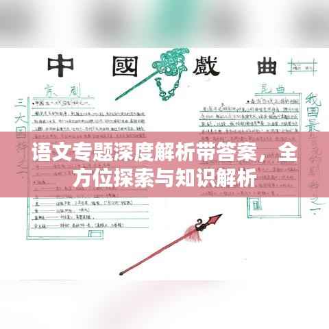 語文專題深度解析帶答案，全方位探索與知識解析